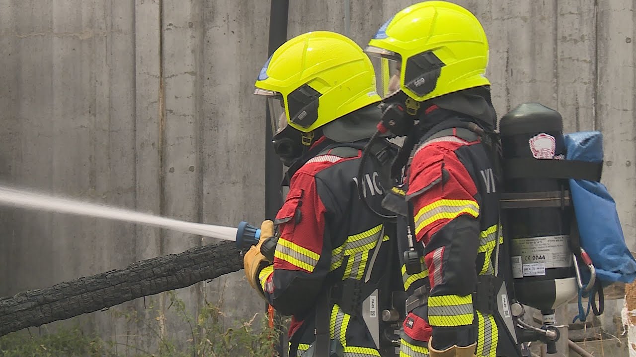 Richenthal LU: Ferkel sterben im Feuer