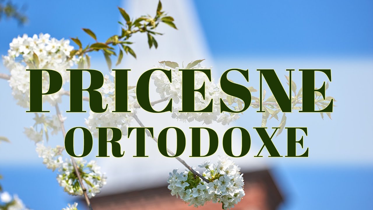 1 ORĂ COLAJ PRICESNE