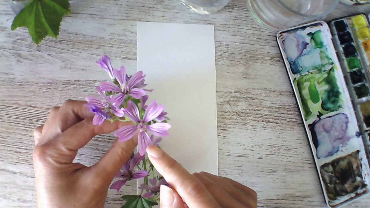 Malvas en acuarela. Ejercicio 2/ Watercolor flowers