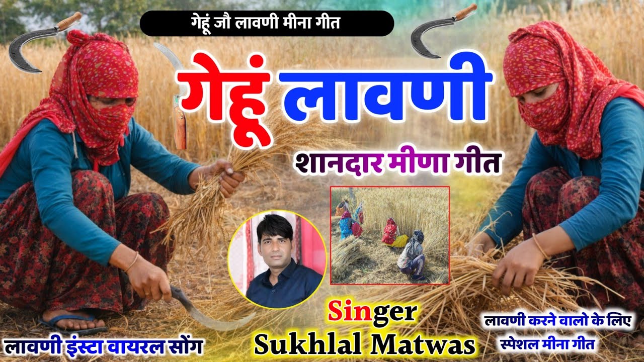 गेहूं लावणी स्पेशल मीणा गीत || Sukhlal Matwas Gehu Katai Meena Geet || गेहूं कटाई स्पेशल सॉन्ग 2026