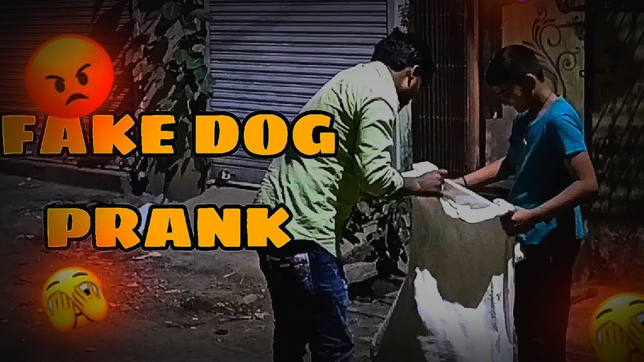 FAKE DOG PRANK FULL WATCH MY VIDEO FULL COMEDY 😂😂