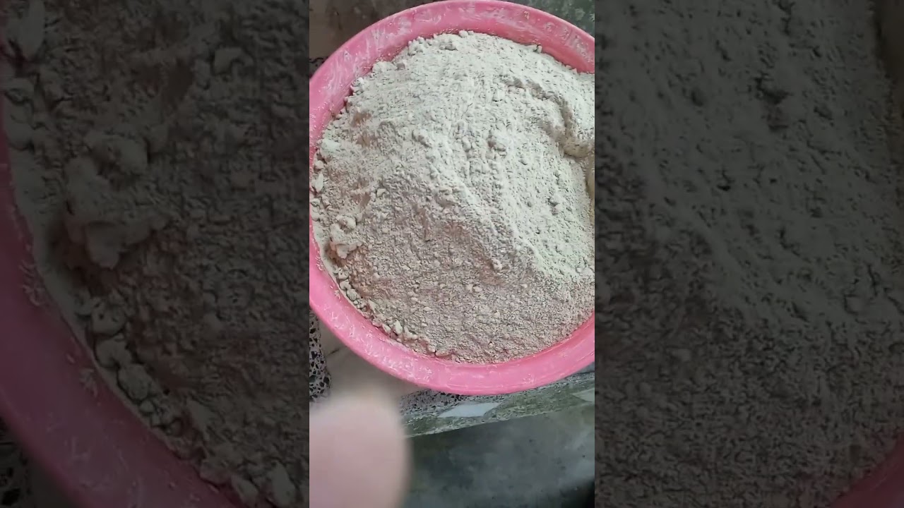 Membuat dedak ayam dan itik sendiri supaya ia cepat bertelur