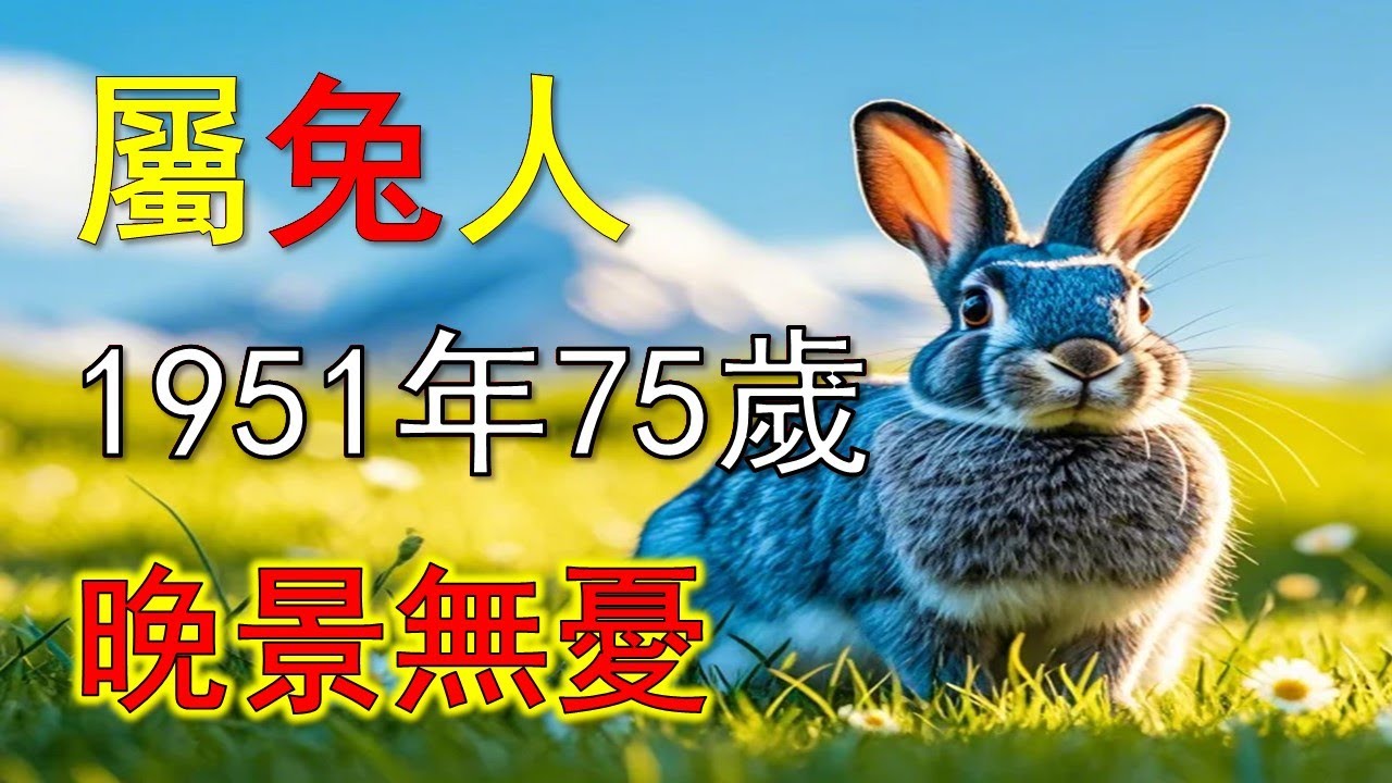 2025生肖運勢，十二生肖1951年出生屬兔人命運，每個屬兔人其實都不同，而且每一個屬兔人出生年份月份不同的時候，自身的命運區別是很大的，屬兔人來看，出生1951年出生屬兔人，一生有著什麼樣命運生肖兔