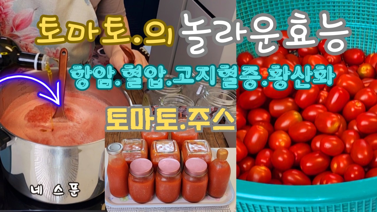 유방암.항암.고지혈증.항산화.최고로 좋은 토마토마리네드&토마토주스 라이브방송~~~