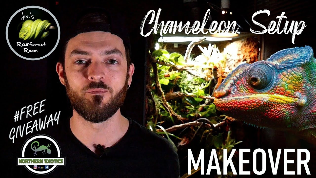 Panther Chameleon Bioactive Terrarium Get's New Plants & Free Prize Giveaway From Northern Exotics