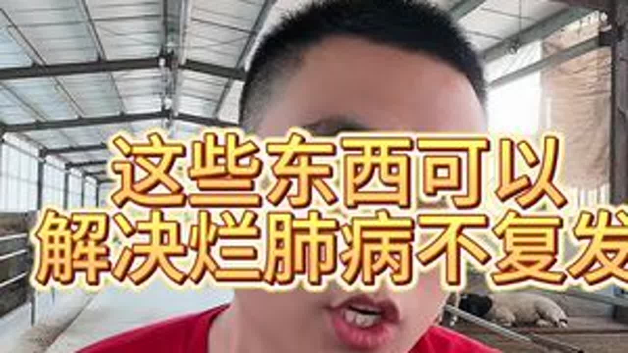 #传染性胸膜肺炎 #烂肺病 #羊烂肺病 #羊咳喘 #三农