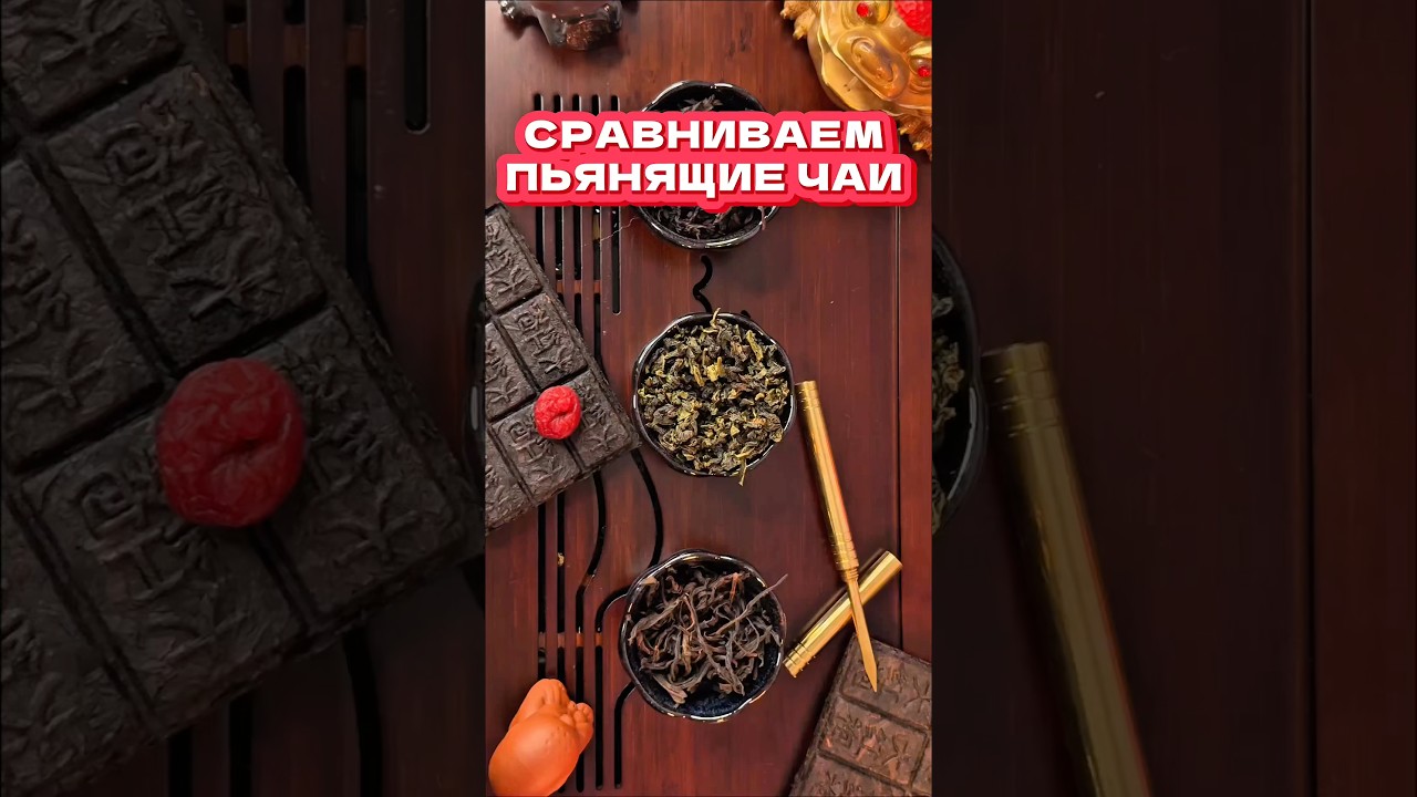 КАКОЙ САМЫЙ МОЩНЫЙ ? #китайскийчай #дахунпао #тегуаньинь #миланьсянданьцун