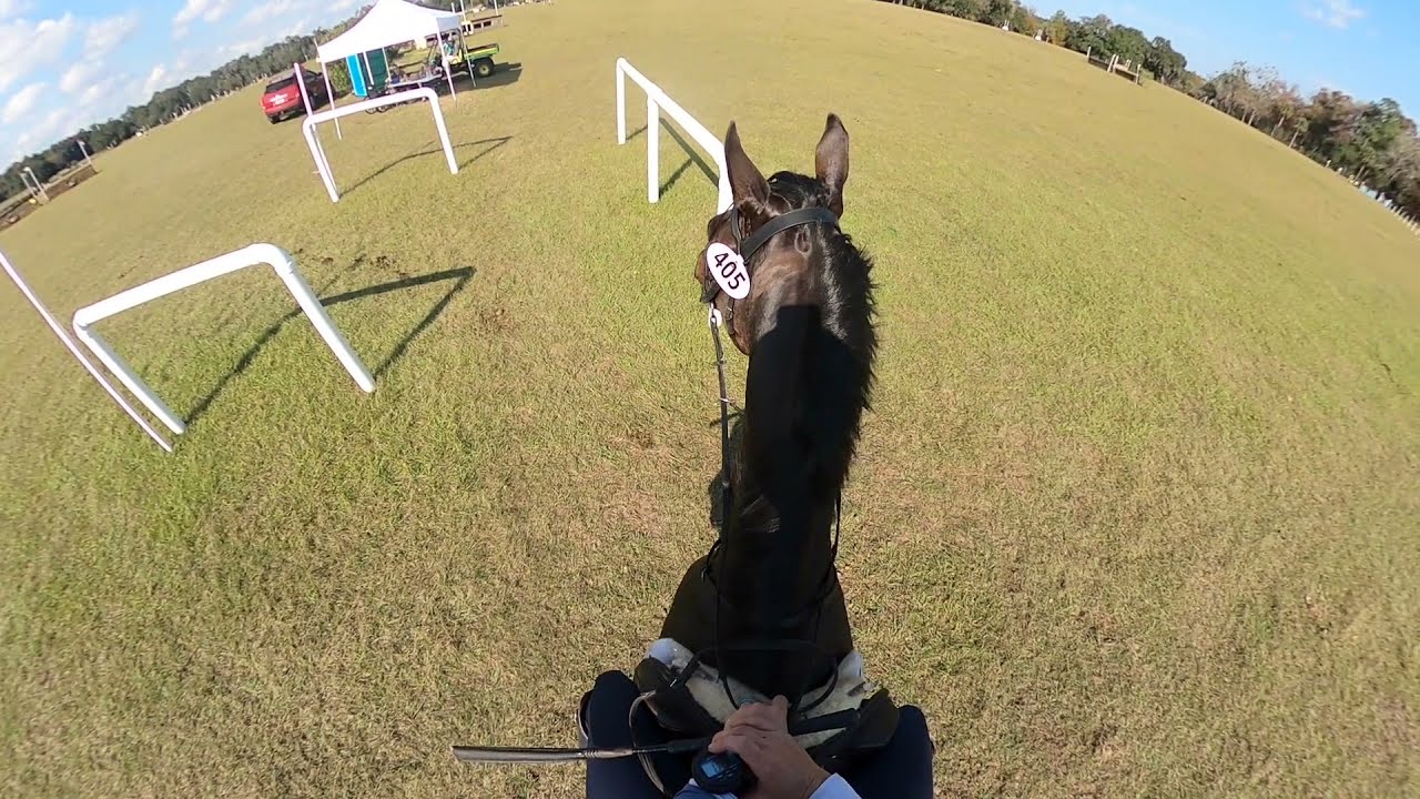 GoPro: Capo dei Capi (Beginner Novice | 2021 Schooling Show at Majestic Oaks)