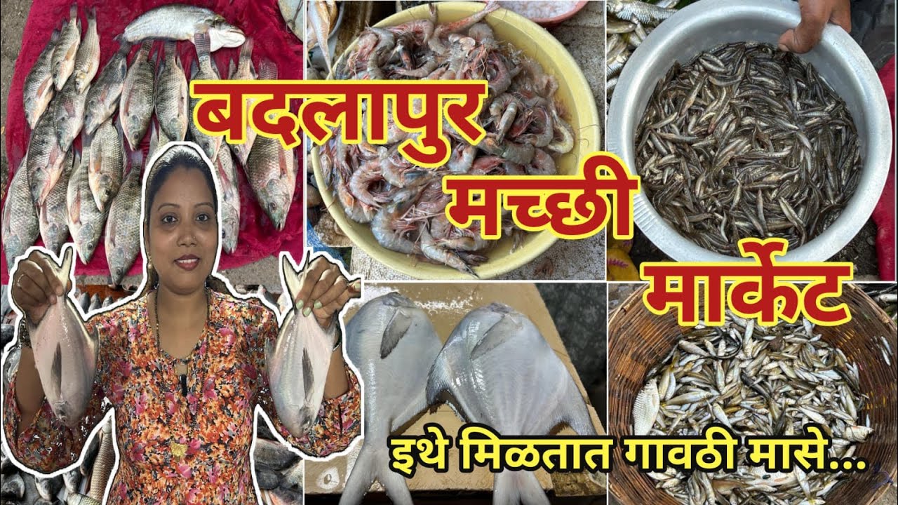 बदलापुर मच्छी मार्केट । Mumbai Wholesale Fish Market | Wholesale Fish Market In Badlapur 