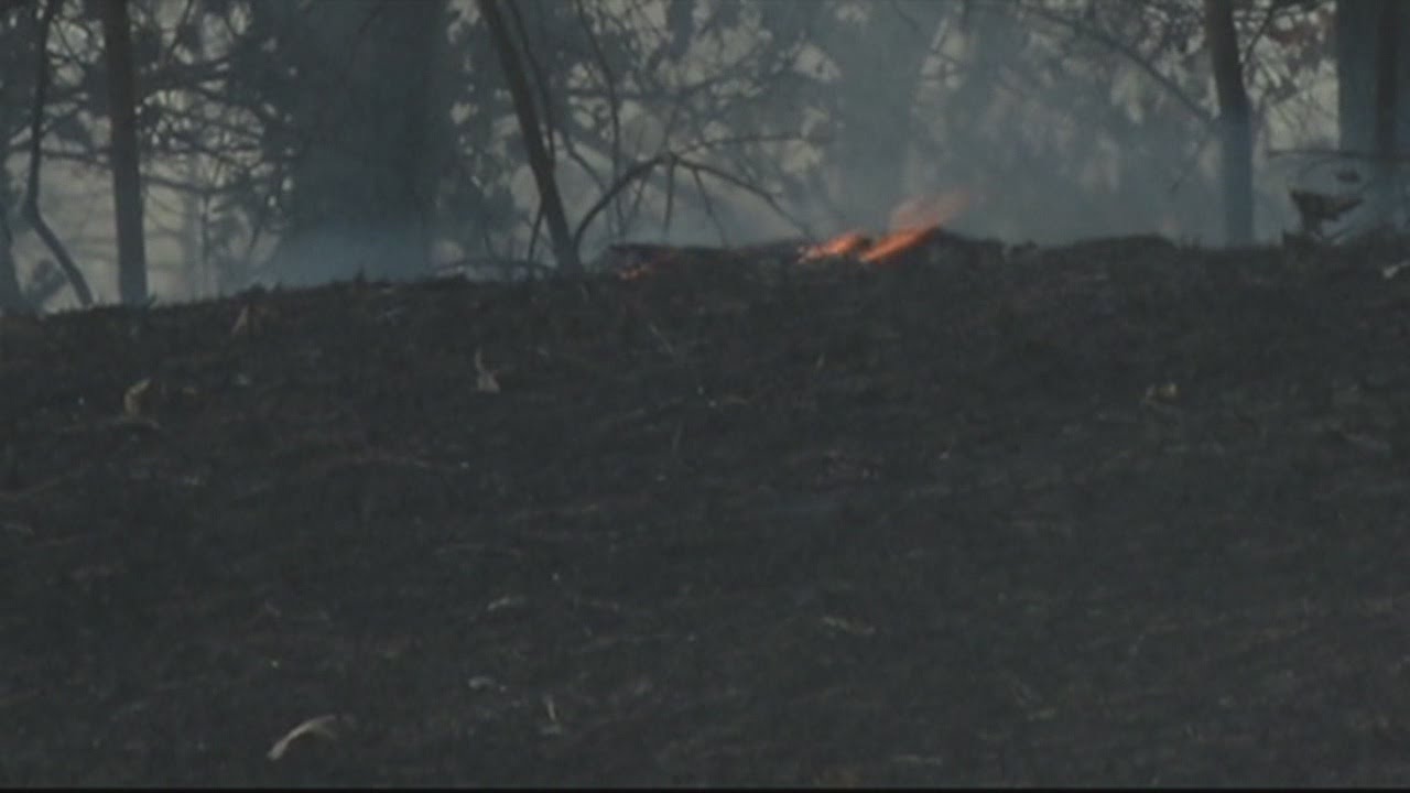 Brush Fires along I-459
