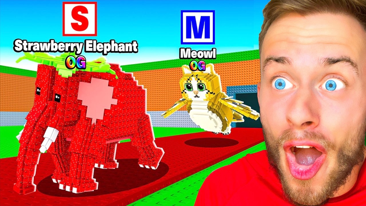 Ich habe 1 unglaubliches BRAINROT von JEDEM BUCHSTABEN gestohlen! 👀🔤