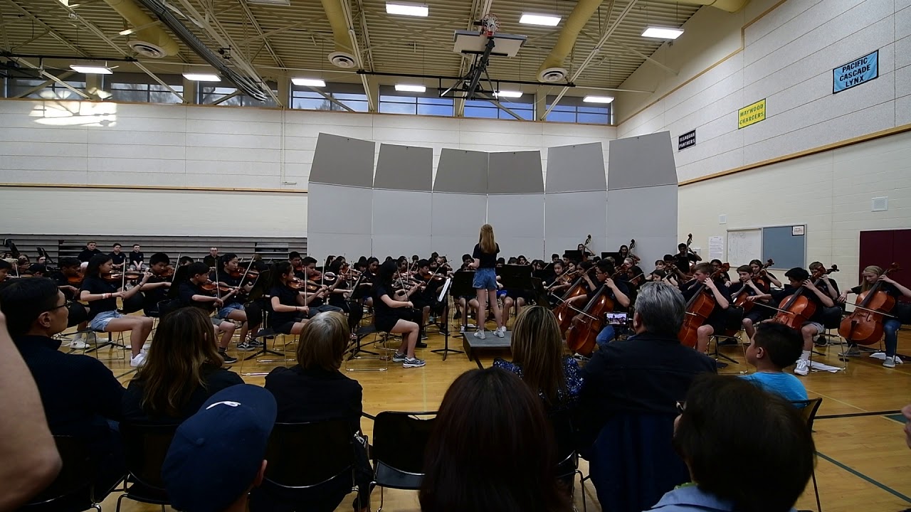 Thriller (Michael Jackson) arr. Robert Longfield - Pacific Cascade Middle School Advanced Orchestra