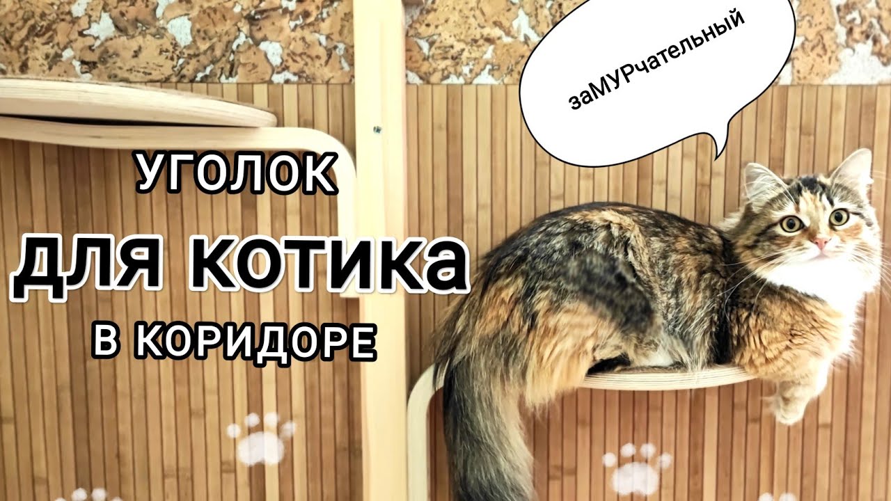 УГОЛОК ДЛЯ КОШКИ в коридоре | своими руками