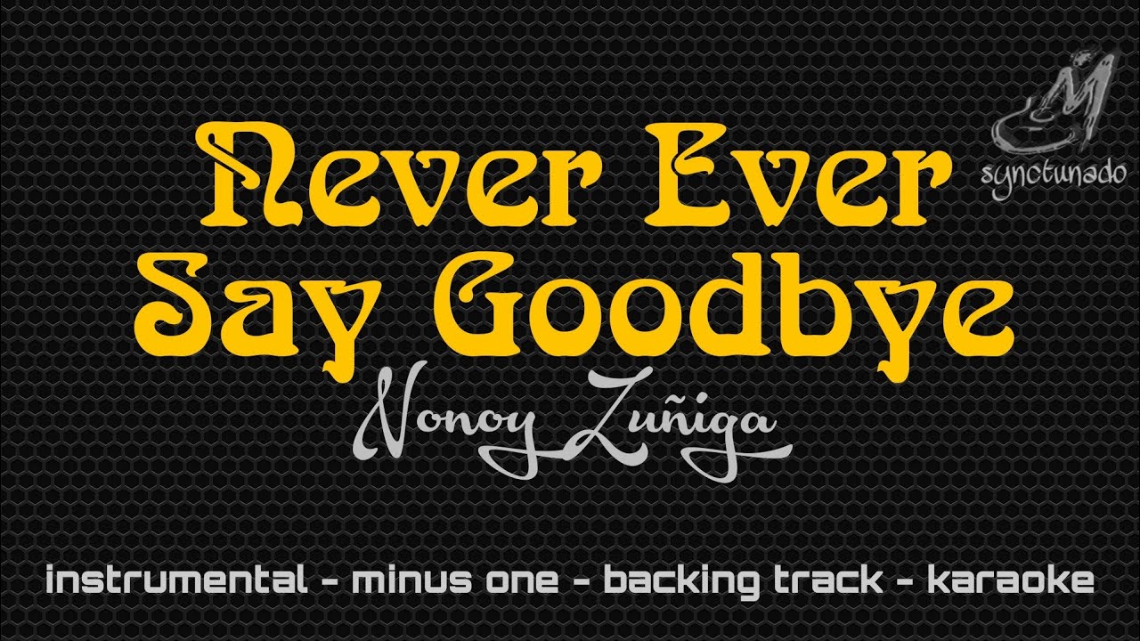 NEVER EVER SAY GOODBYE [ NONOY ZUÑIGA ] INSTRUMENTAL | MINUS ONE
