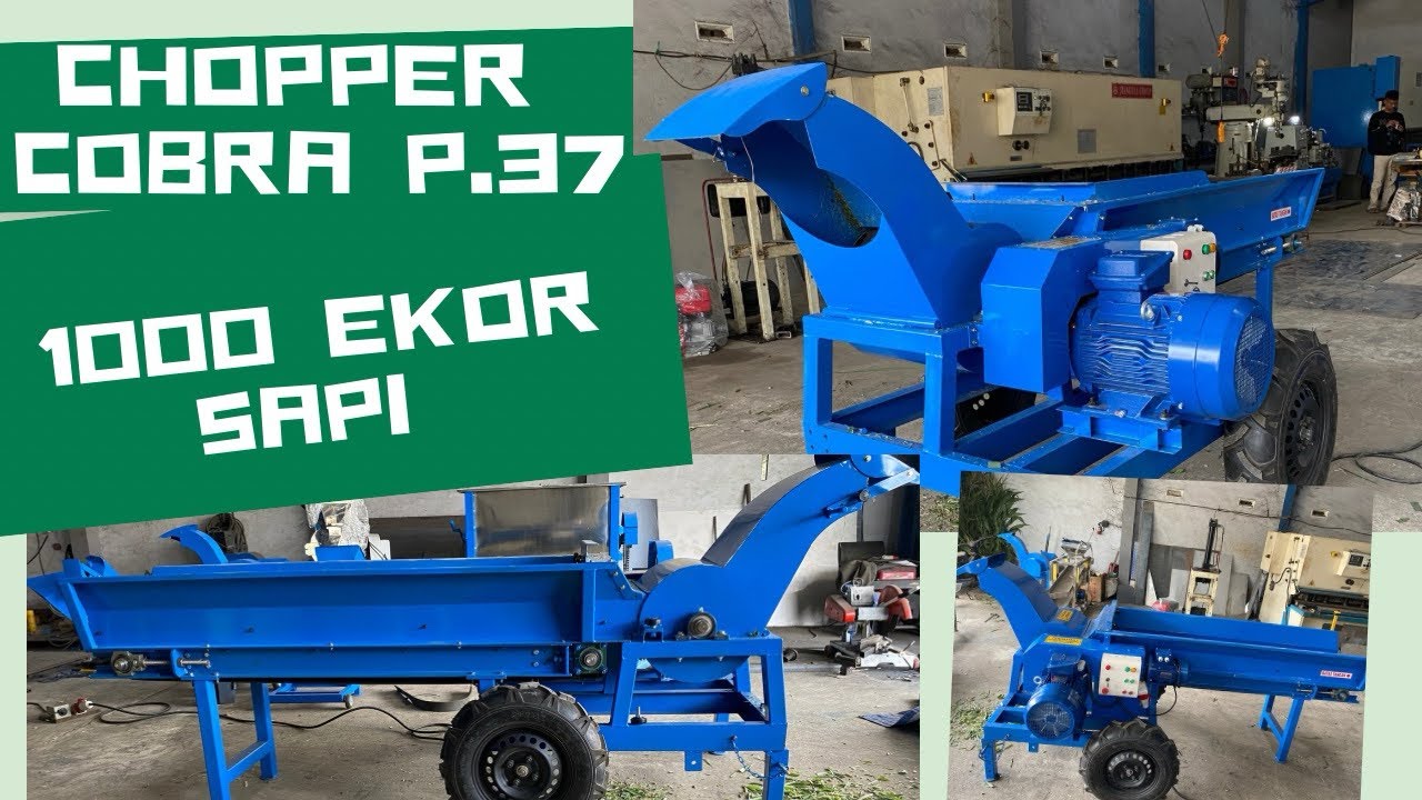 Mesin chopper pencacah rumput|| mesin chopper tipe cobra P37 || tipe conveyor