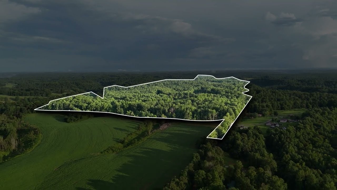 Turnkey Tennessee Hunting Paradise | 216 Acres of Prime Deer & Turkey Land in Giles County, TN