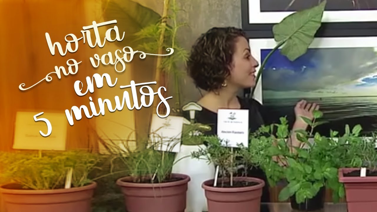 Monte uma horta no vaso em 5 minutos