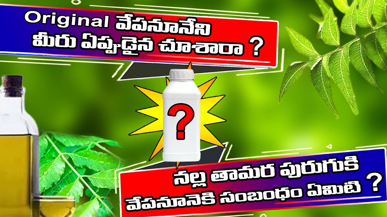 Original Neem oil | Neem oil for chilli plants Growth pests trips & trick | Neem oil benefits telugu