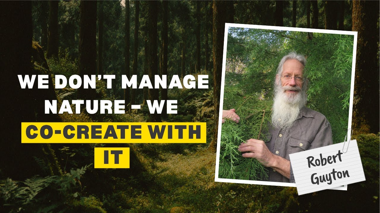 Food Forest Podcast: Robert Guyton – Learn from a 35 Years New Zealand Food Forest