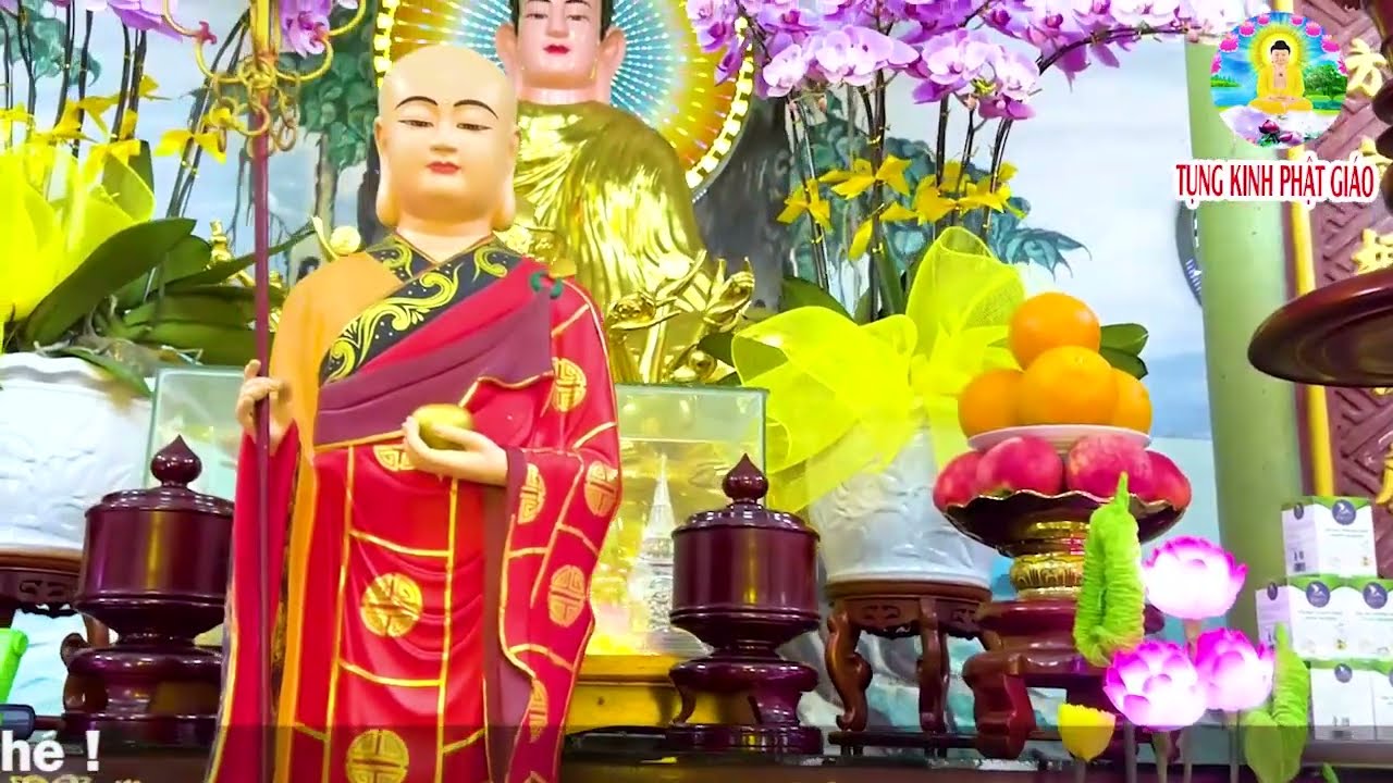 Tối 11 Âm  Nghe Kinh Cầu An MẸ Che Chở Nhận Lộc Trời Ban Chữa Lành Bách Bệnh Tiêu Tai Giải Hạn