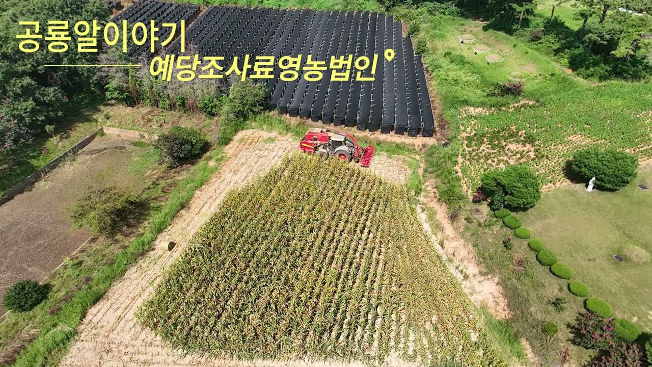 Corn Silage harvester machine(장비값만 10억)
