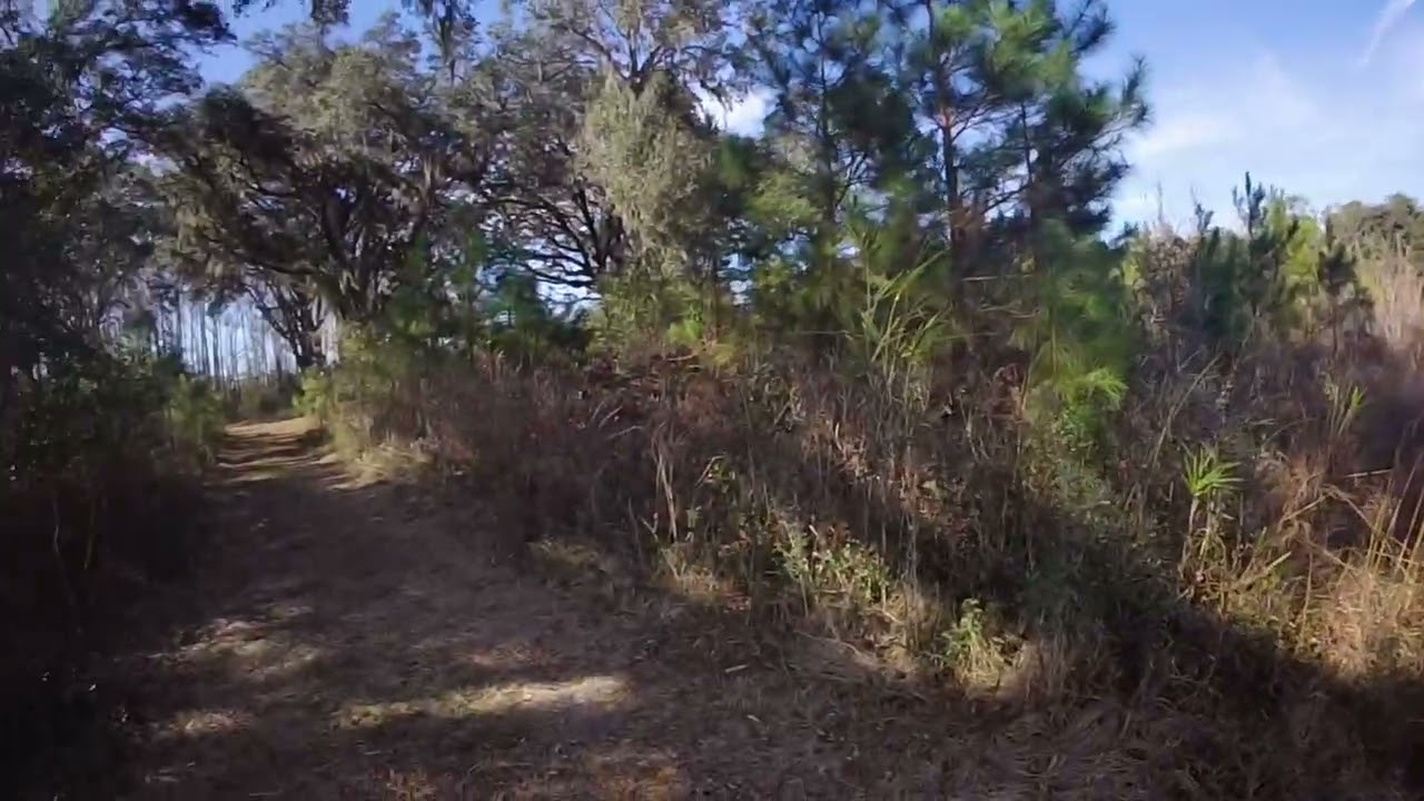 Took some pups out…