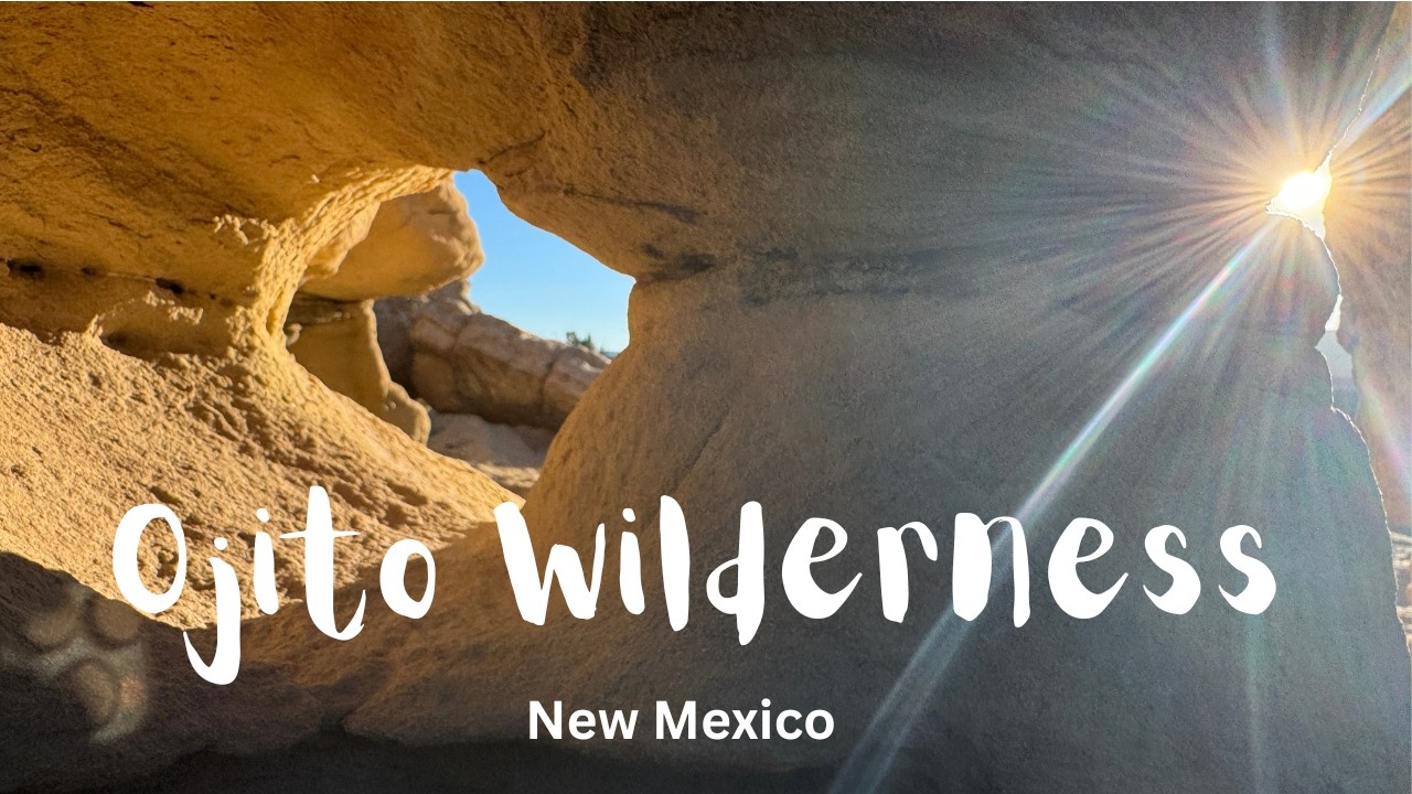 Petroglyphs and ghost vibes in the New Mexico desert wilderness. Take a trip with me into the Ojito.