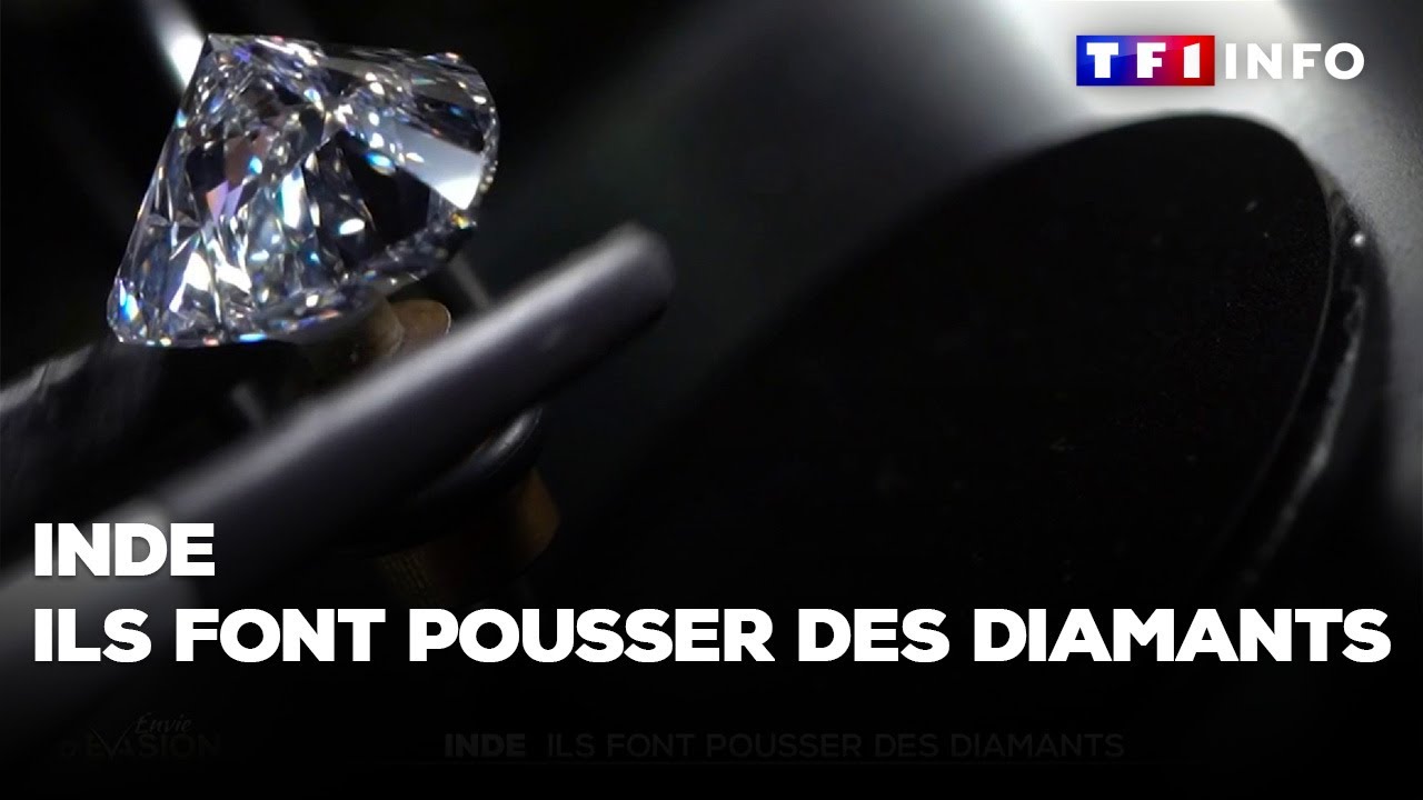 Inde : Surat, la ville où on fait pousser des diamants