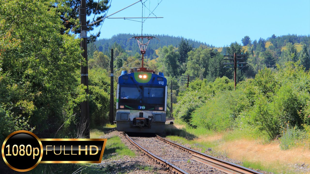 UT440's del Biotrén, Chile