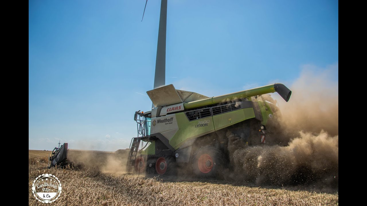 Dreschen 2020 // Claas Lexion 7600 mit MacDon FD135 // Westhoff Agrar GmbH