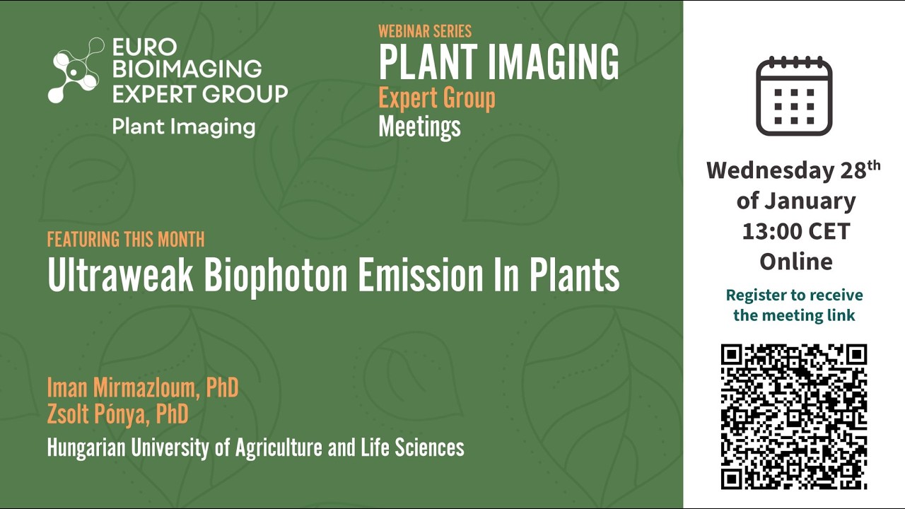 Ultra-weak Biophoton Emission in Plants