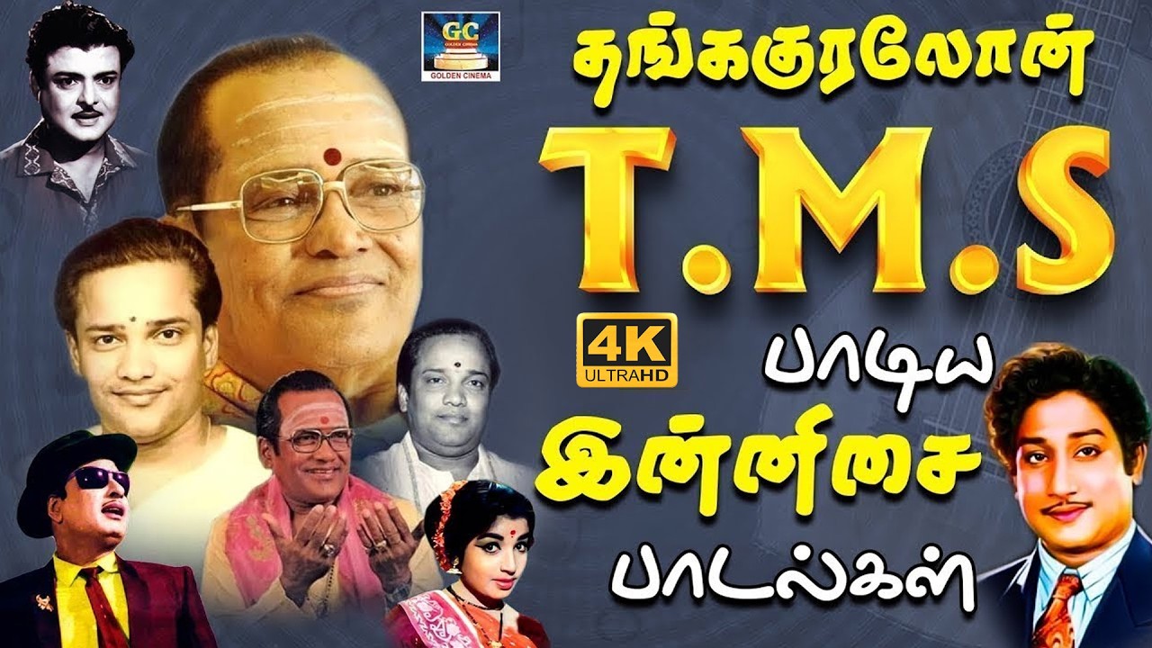 தங்ககுரலோன் TMS பாடிய இன்னிசை பாடல்கள் | 60s Old is Gold | MGR | Sivaji | TMS | Kannadhasan | 4K