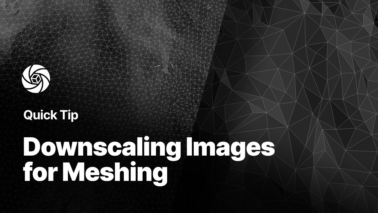 Downscaling Images for Meshing | Reality Capture Quick Tip