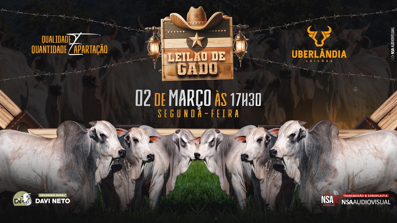 🔴🌾 [TRADICIONAL] LEILÃO MISTO - Uberlândia Leilões TV  👨‍🌾🐂 - 02 de MARÇO