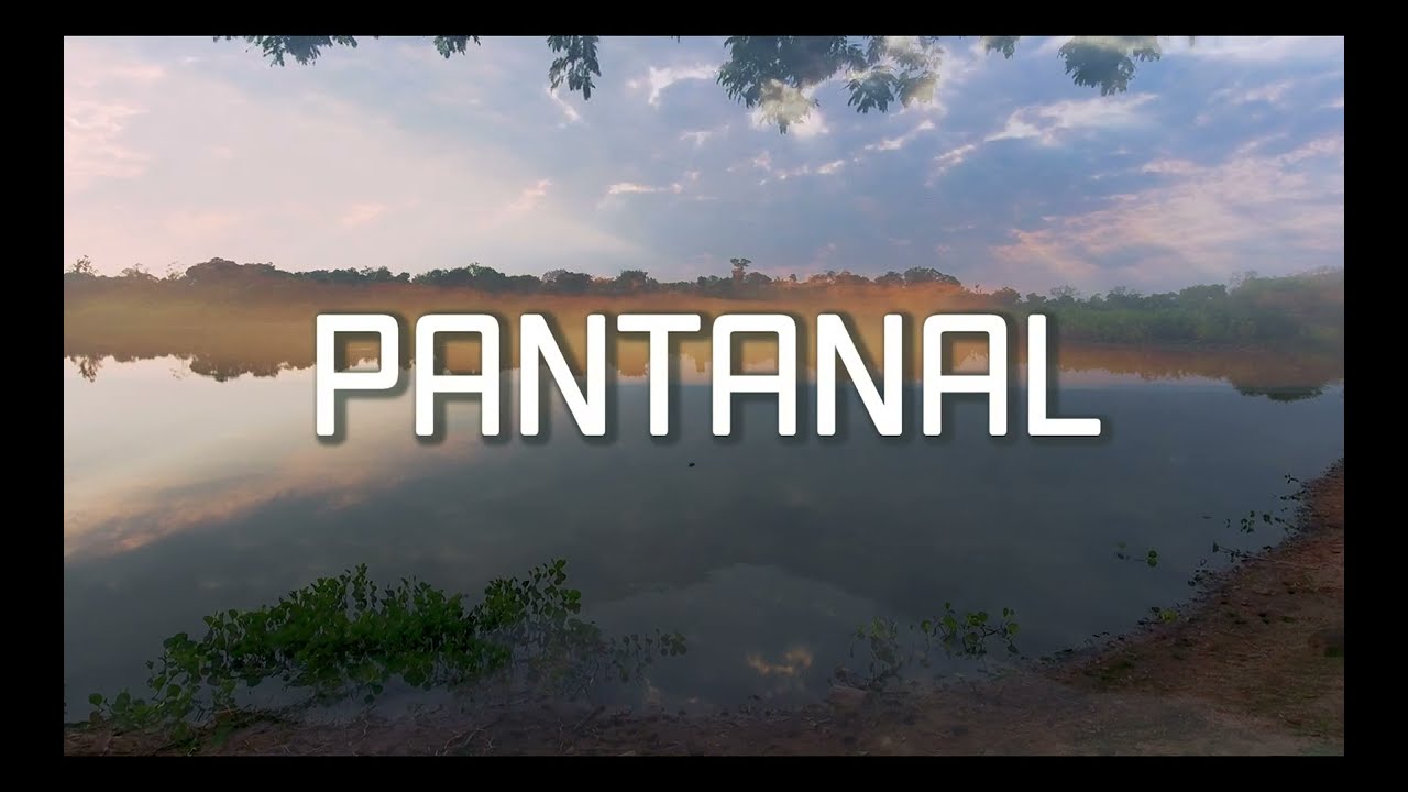 Pousada Aguape - Pantanal