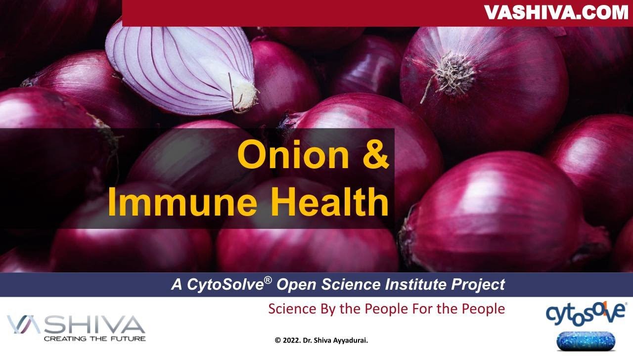 Dr.SHIVA: Onions & Immune Health - A CytoSolve® Analysis