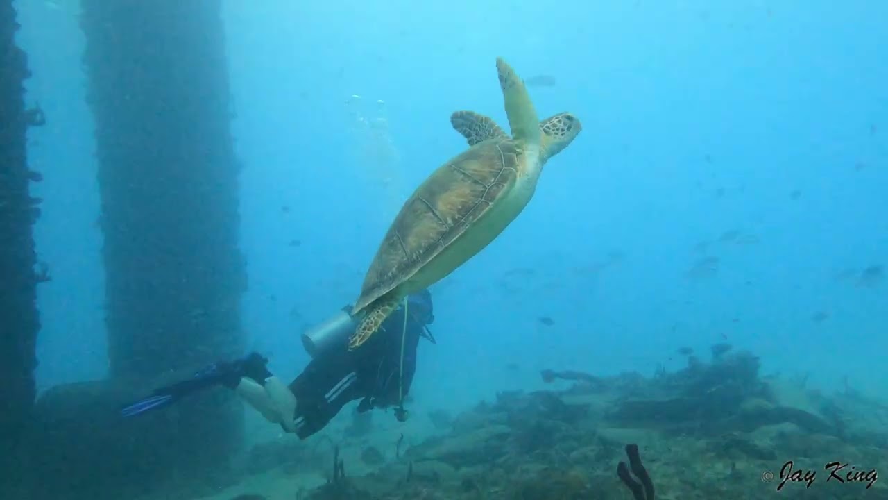 St Croix 022126