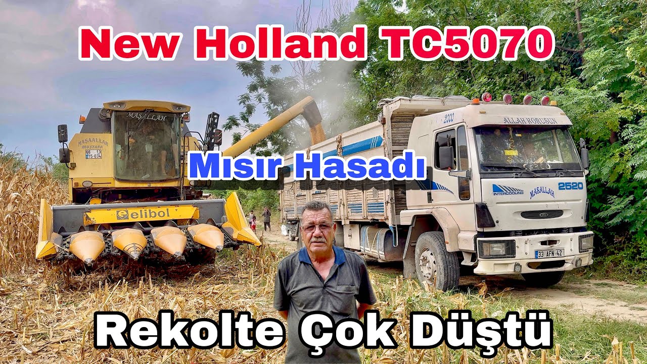 NEW HOLLAND TC 5070 Biçerdöver İle 2024 Mısır Hasadı / Rekolte Çok Düştü