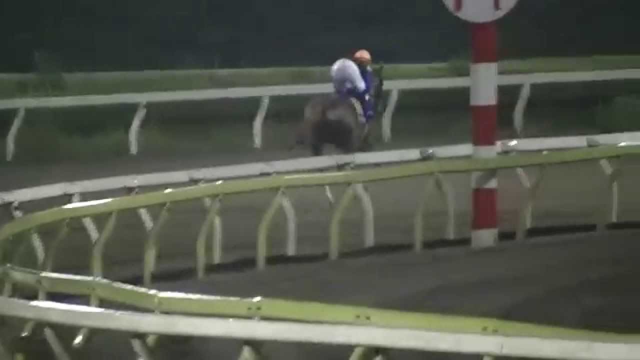 2014 7/9 第16回 ジャパンダートダービー（ＪｐｎI） 本馬場入場 現地映像 カゼノコ