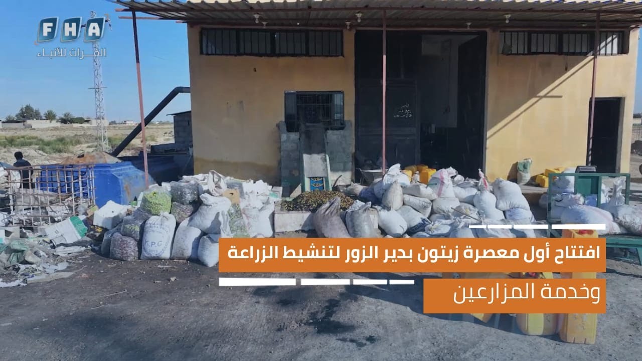 افتتاح أول معصرة زيتون بدير الزور لتنشيط الزراعة وخدمة المزارعين