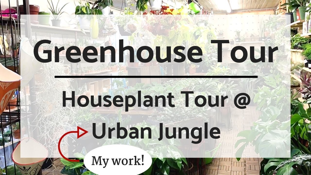 Greenhouse Tour | Urban Jungle in Philadelphia - Tour My Work! (Winter 2019)