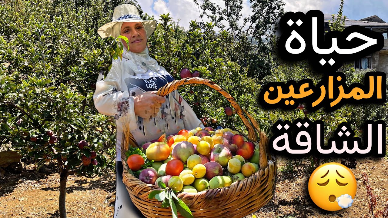 قطف أكبر سلة فواكه مشكلة🍇من بستان واحد😍الحياة في الضيعة عالم آخر روعة جمال الطبيعة في لبنان