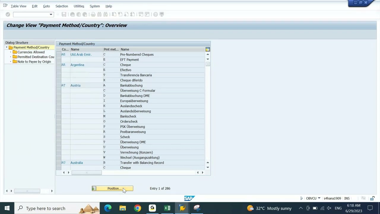 SAP FICO ENGLISH S4HANA: AUTOMATIC PAYMENT PROGRAM (APP) - 01