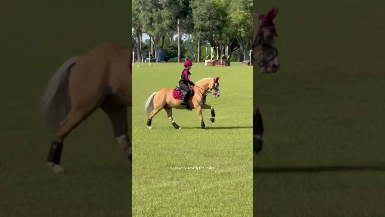 This makes me cry 🥹 #horse #equestrian #eventing #horsegirl #emotional #pony #eventing #riding