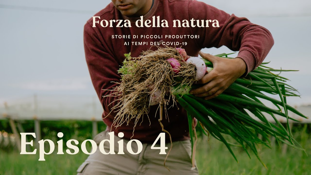 Forza della natura | Episodio 4 – Rasoterra