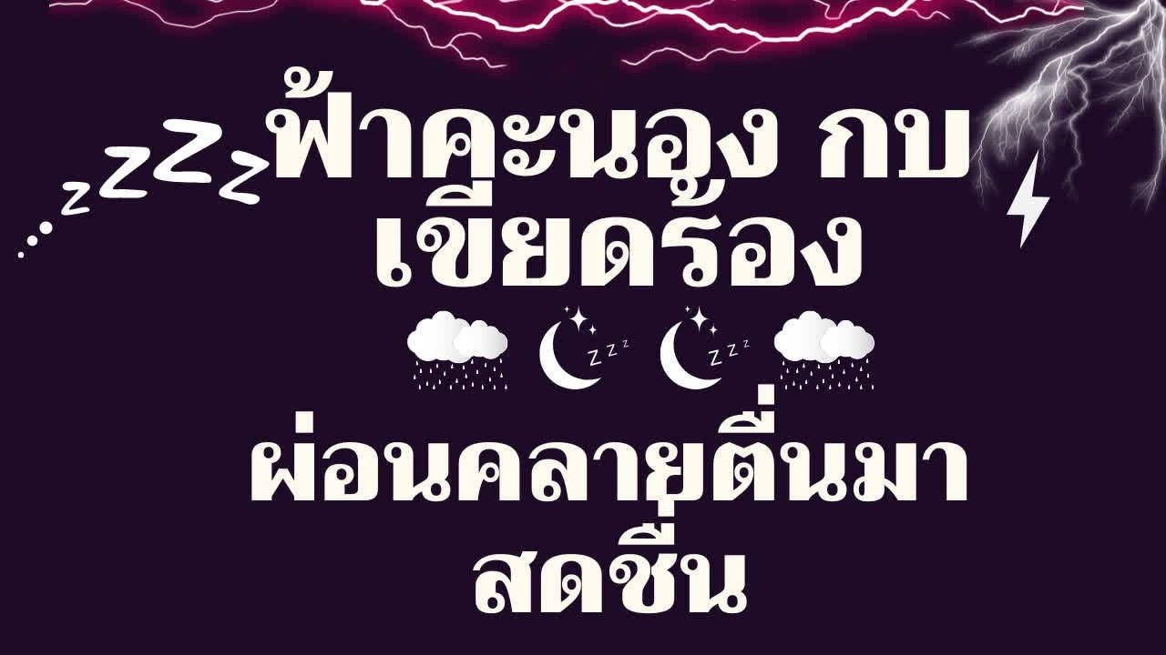 #จอดํา เสียงฝนตก ฟ้าคะนอง กบเขียดร้อง[ไม่มีโฆษณาคั่น] กล่อมนอน ผ่อนคลายสลายพลังลบ #10