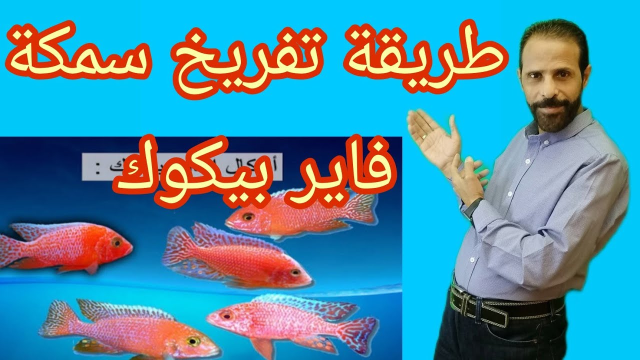 طريقة تفريخ سمكة الفاير بيكوك@