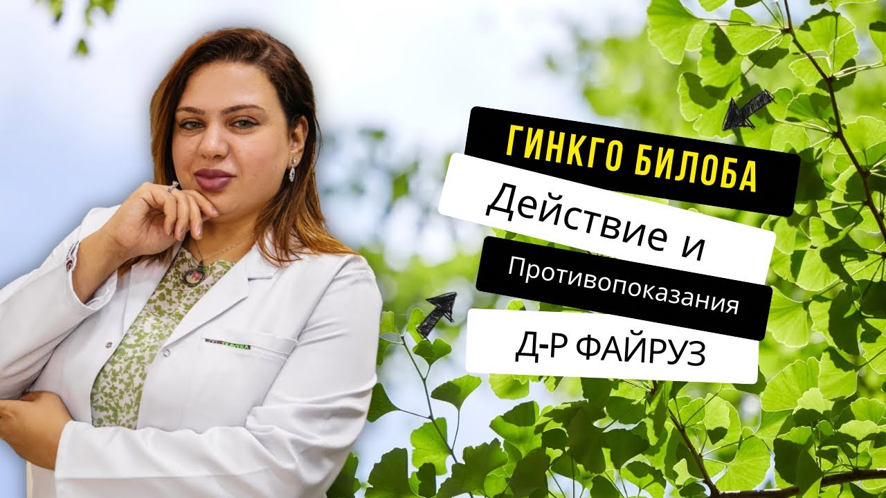 Гинкго Билоба в Египте: как работает, кому НЕЛЬЗЯ, аналоги и цены | Доктор Файруз
