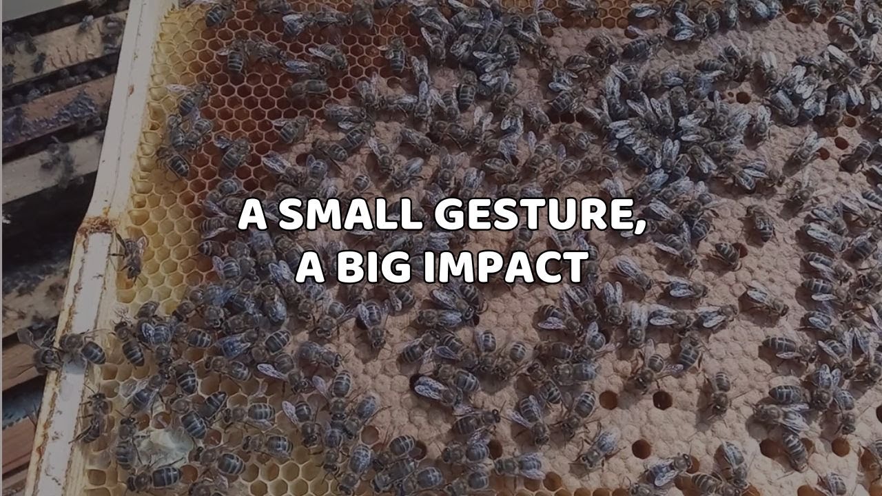 A small gesture, a big impact | Masoliver x Ecocolmena
