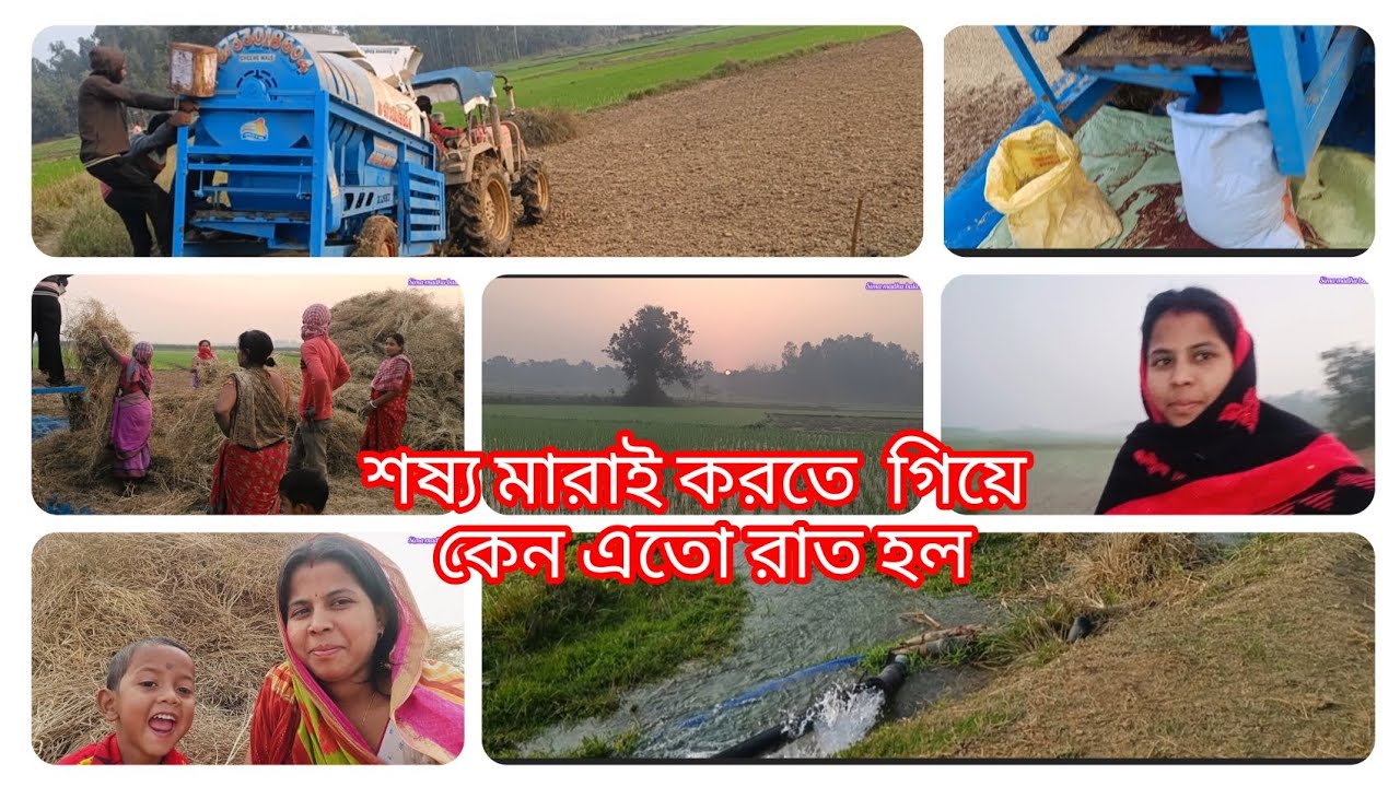 আজ জমিতে সরিষা মারাই করতে গিয়ে প্রচুর পরিমাণে খাটনি হল #video #vlog #bengali 